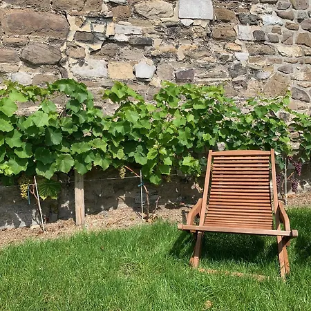 بيت ضيافة Bonjour Pierreuse لييج