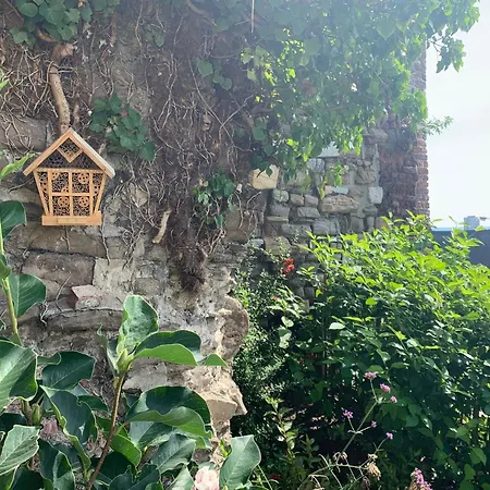 بيت ضيافة Bonjour Pierreuse لييج