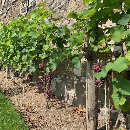 بيت ضيافة Bonjour Pierreuse