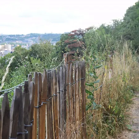 بيت ضيافة Bonjour Pierreuse لييج