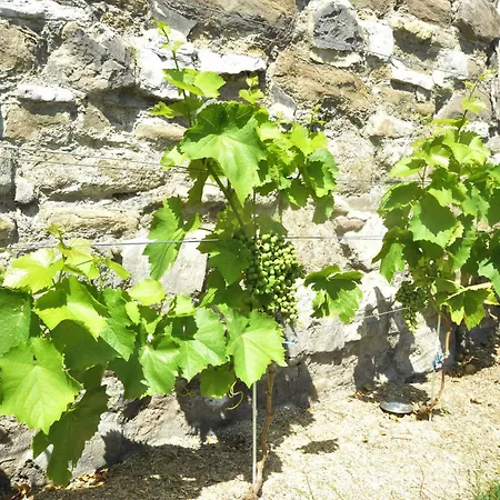 Bonjour Pierreuse Gæstehus 3*