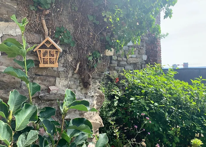 Pensjonat Bonjour Pierreuse Liège