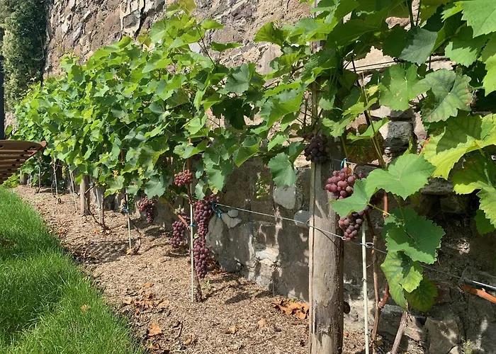 Pensjonat Bonjour Pierreuse