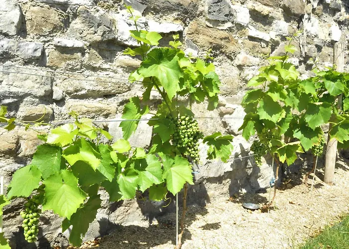 Bonjour Pierreuse Pensjonat 3*